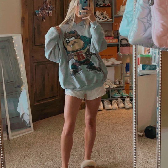 Warner Bros. Other - Vintage Looney Tunes 1993 Taz Hockey Sweatshirt Hoodie